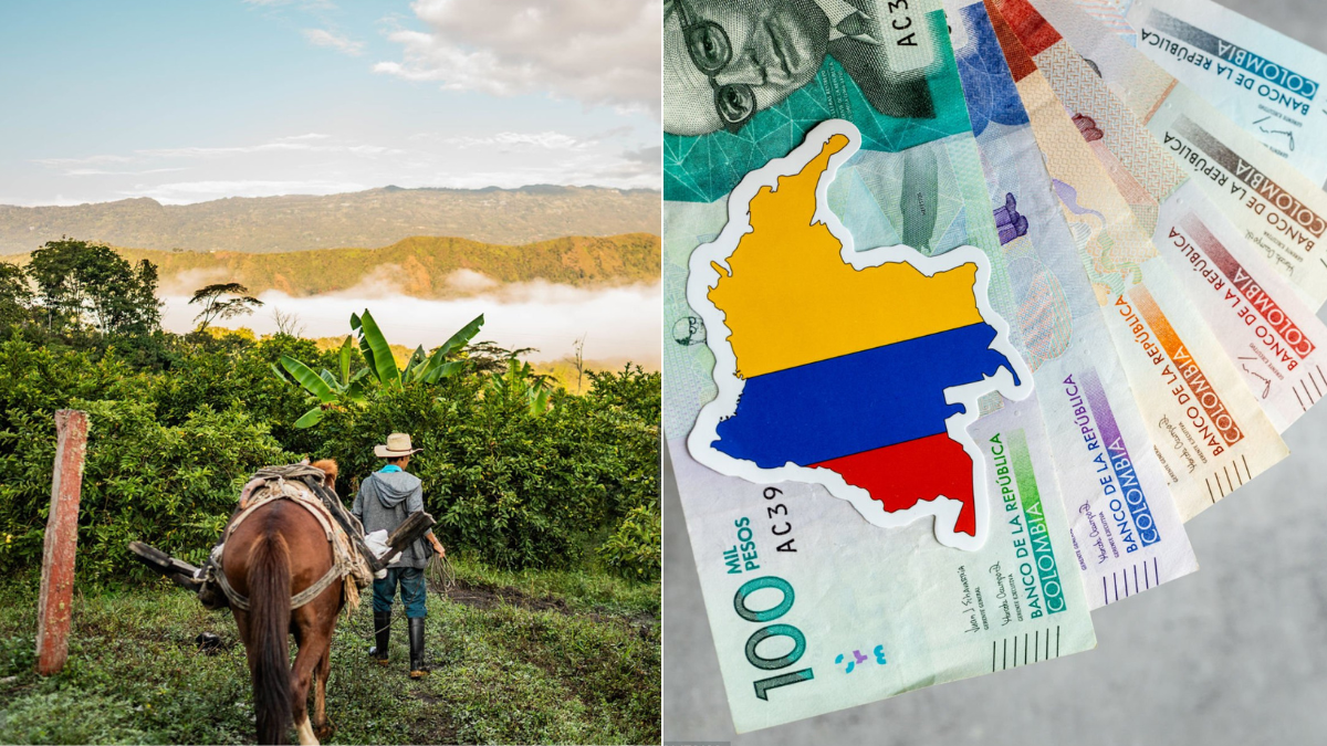 Colombia es uno de los países con mayor concentración de riqueza; El informe de Oxfam la sitúa en cuarta posición en América Latina

 – Tinta clara