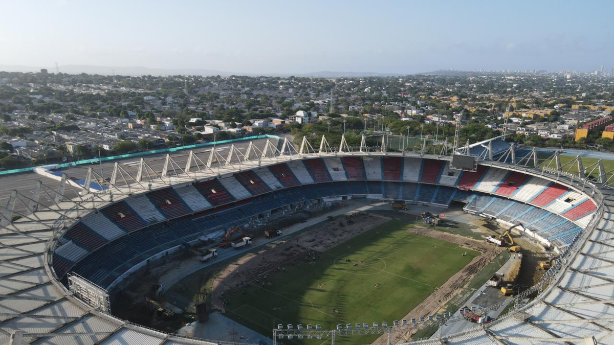 Se plantará en parques y espacios públicos de Barranquilla

 – Tinta clara