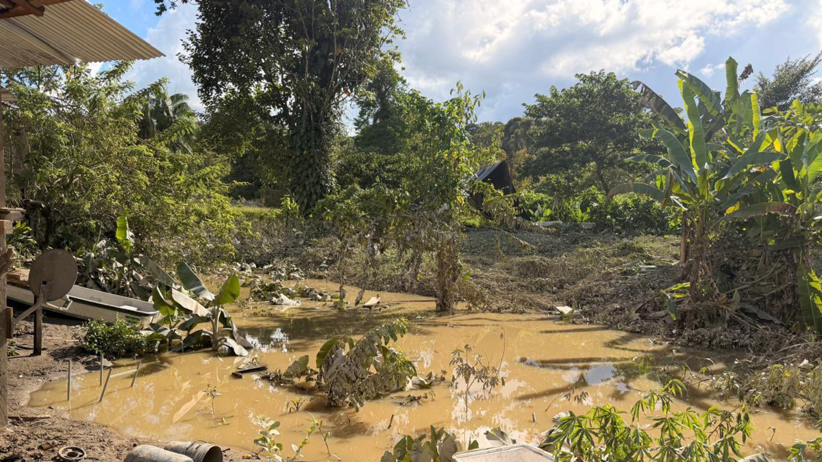 La Defensoría del Pueblo declaró alerta humanitaria en Santa Bárbara de Iscuandé, Nariño, tras desbordamiento de un río

 – Tinta clara