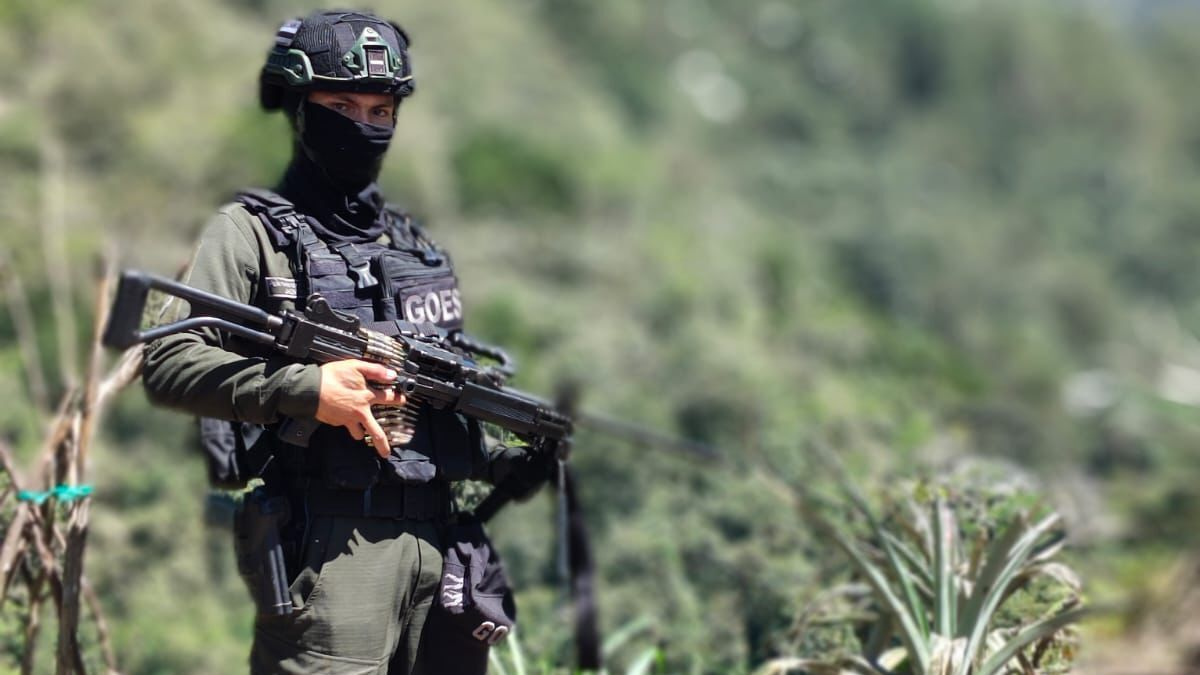 Los líderes del ELN y el clan del Golfo, detrás de la silenciosa disputa por las rutas clandestinas de la droga, que dejó una estela de terror en Risaralda

 – Tinta clara