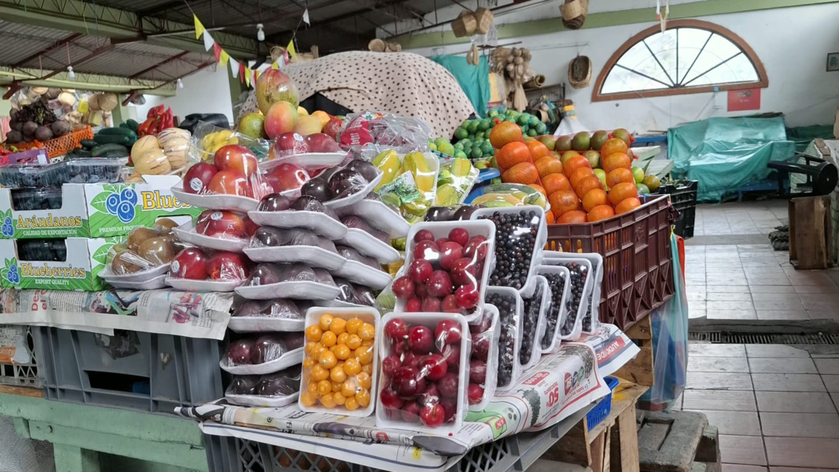 ¿cuál es la razón? Esto es lo que dicen los comerciantes; Piden retomar oficio para el consumidor

 – Tinta clara