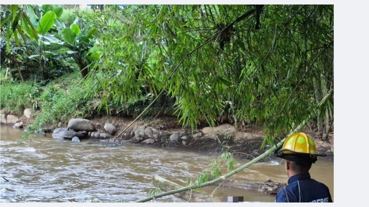 Así fue la búsqueda con un final amargo

 – Tinta clara
