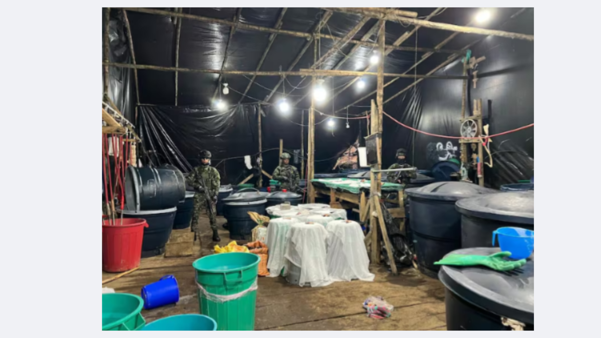 ¿Cómo funcionaba el megalaboratorio descubierto por tropas del Ejército que producía dos toneladas mensuales de droga en Nariño?

 – Tinta clara