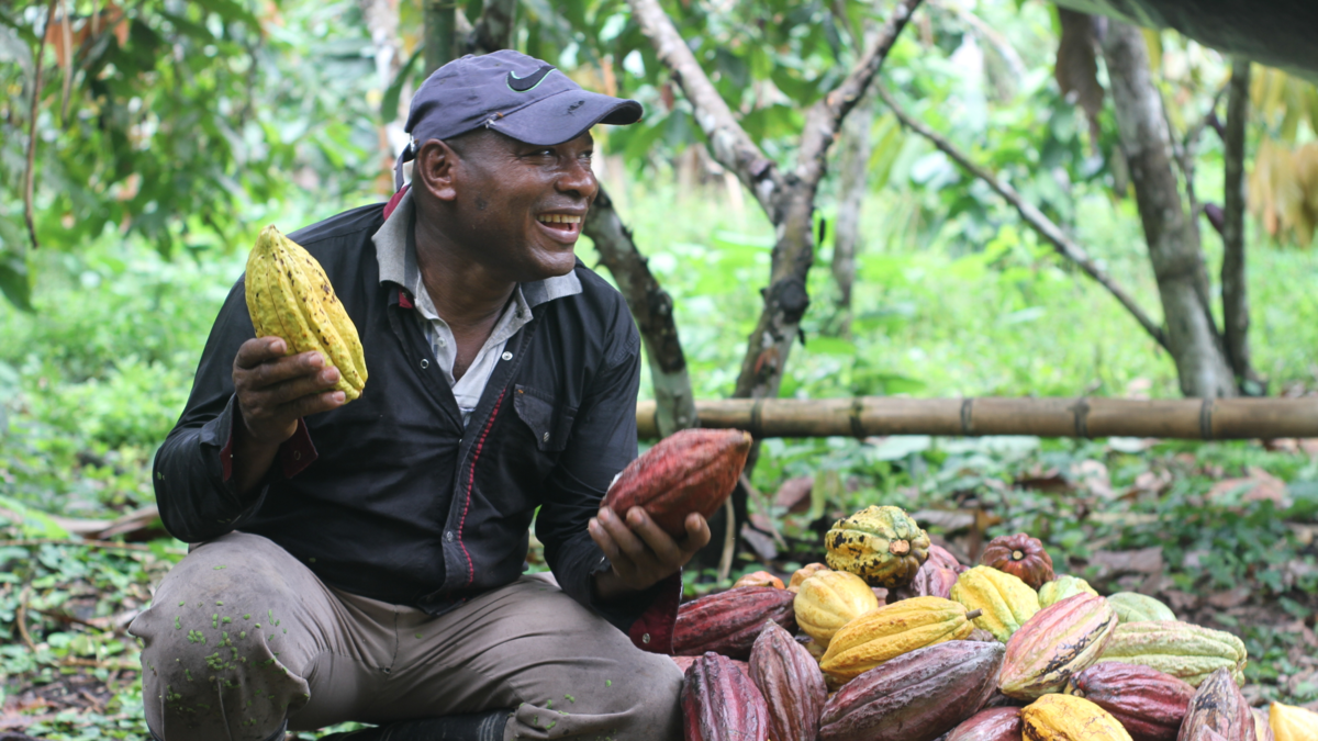 Estas son algunas historias de transformación en zonas marcadas por la violencia, los cultivos ilícitos y el despojo de tierras

 – Tinta clara