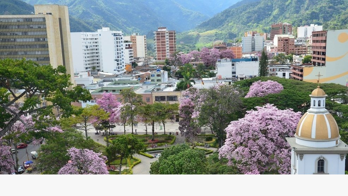 Sicarios atacaron con armas de fuego y huyeron en motocicleta.

 – Tinta clara
