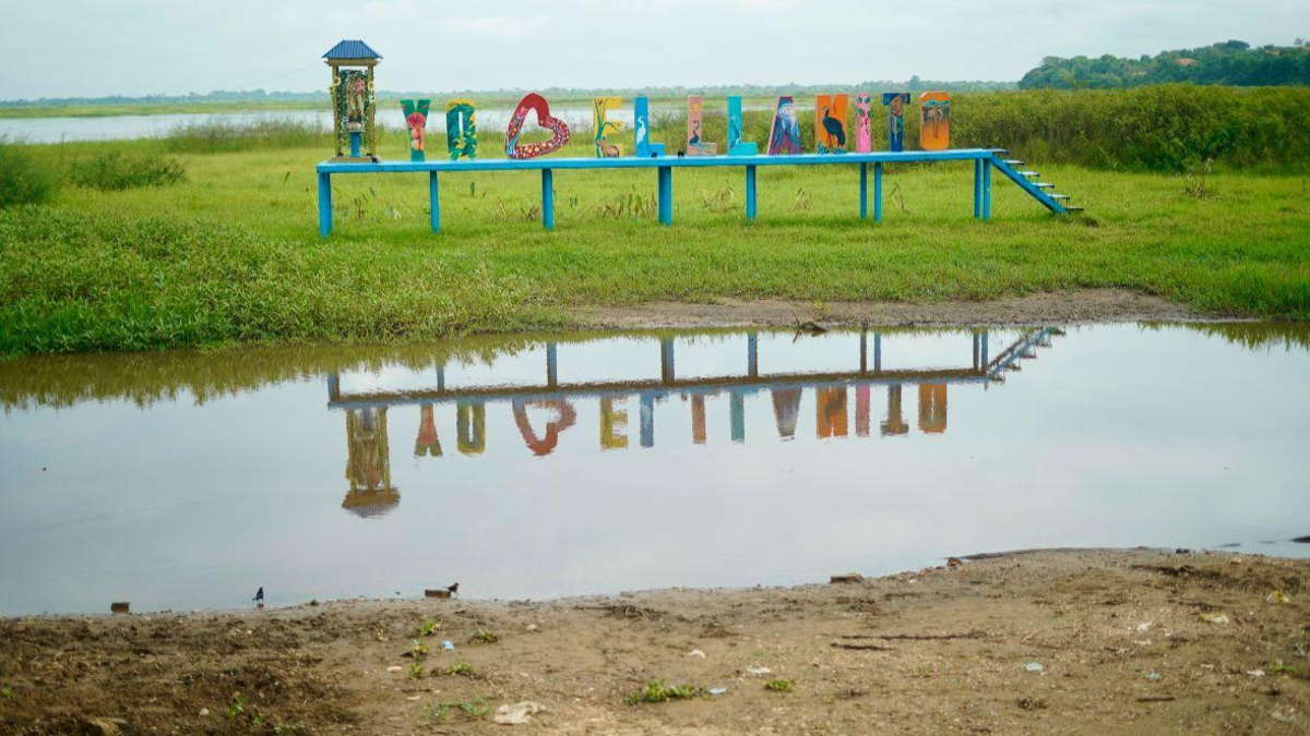 el pantano se está secando

 – Tinta clara