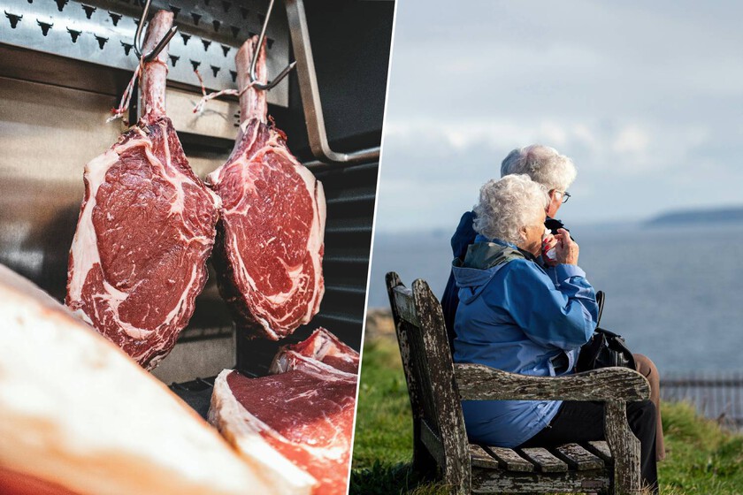 Creíamos que una dieta vegetariana garantizaba la longevidad. En la vejez extrema, los datos dicen todo lo contrario

 – Tinta clara