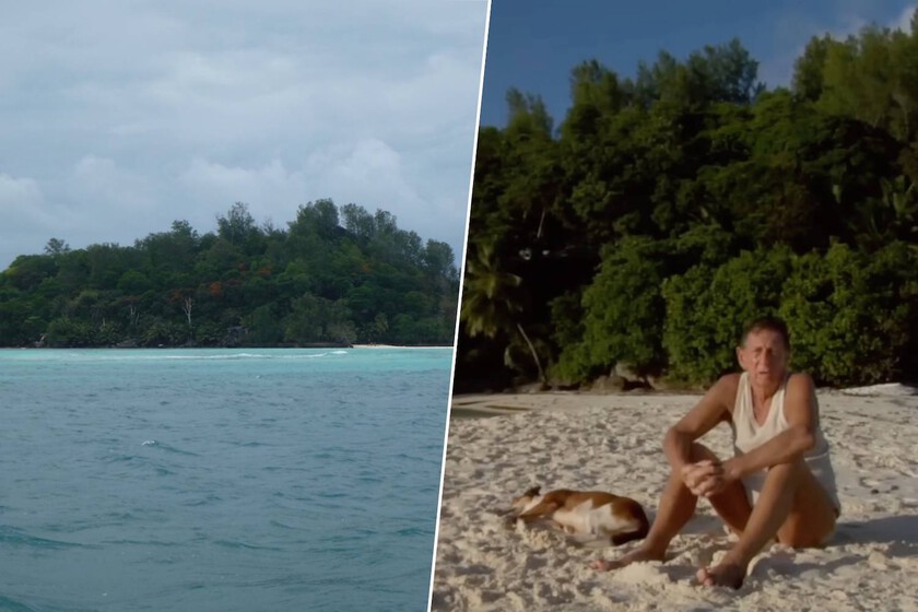 Plantó 16.000 árboles y lo convirtió en un santuario antiricos

 – Tinta clara