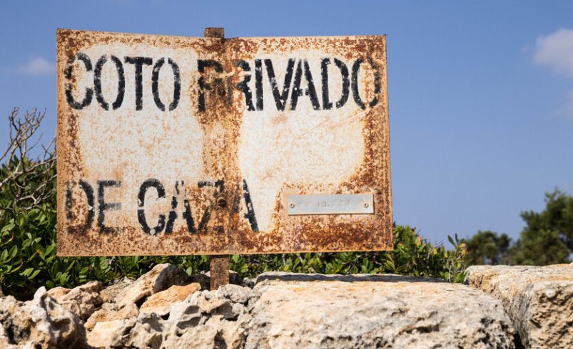 España no sabe si tiene demasiados o pocos conejos. Pero este pueblo de Toledo les ha declarado la guerra por su cuenta y riesgo.

 – Tinta clara