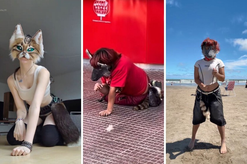 Ahora llegan los «therians», gente que camina a cuatro patas

 – Tinta clara