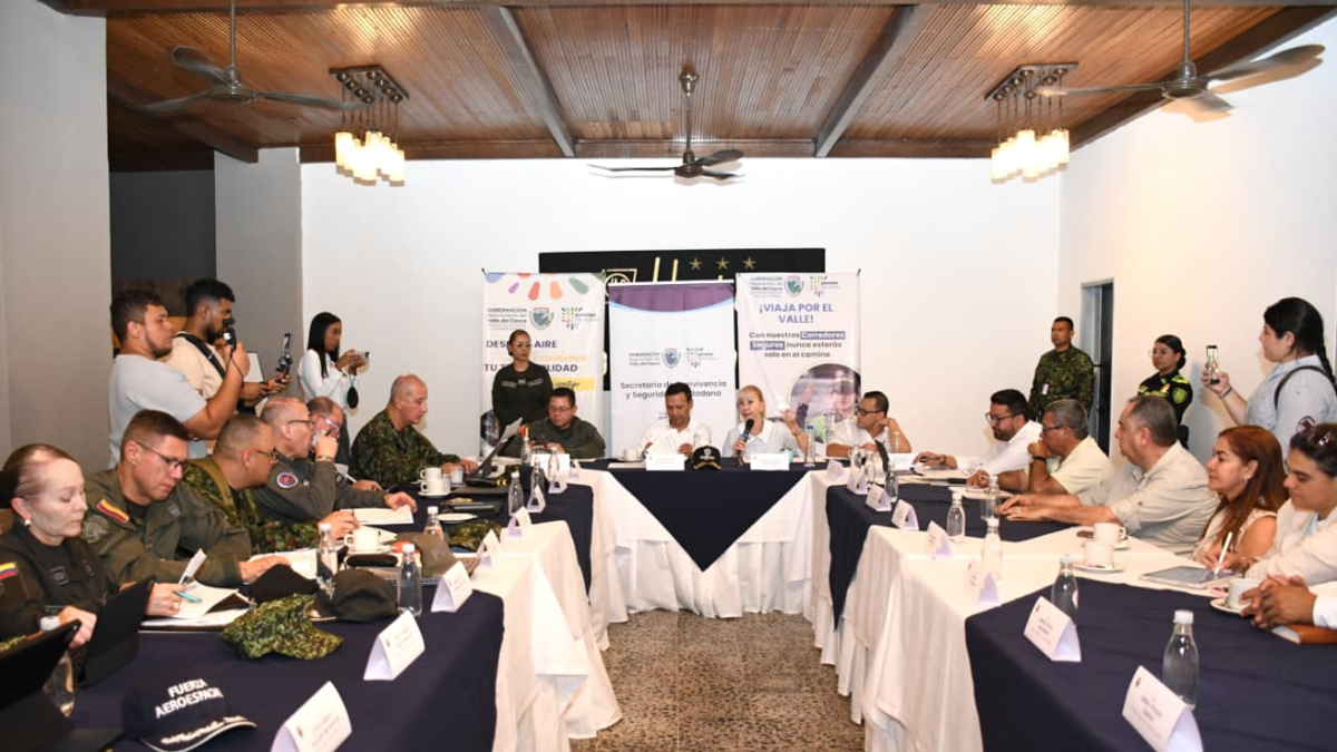 200 policías serán enviados desde Cauca tras consejo de seguridad con el Ministerio de Defensa

 – Tinta clara