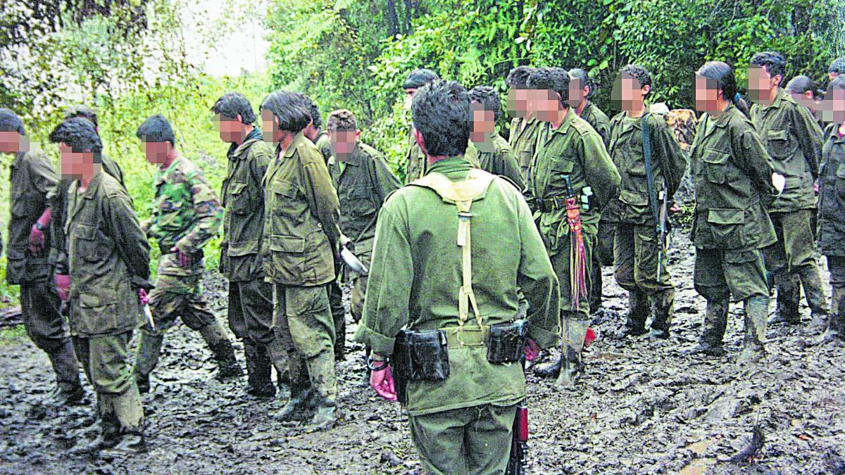 Así operan grupos armados que infunden terror en una zona de Nariño con drones y niños en alto riesgo de ser reclutados: dos municipios afectados

 – Tinta clara