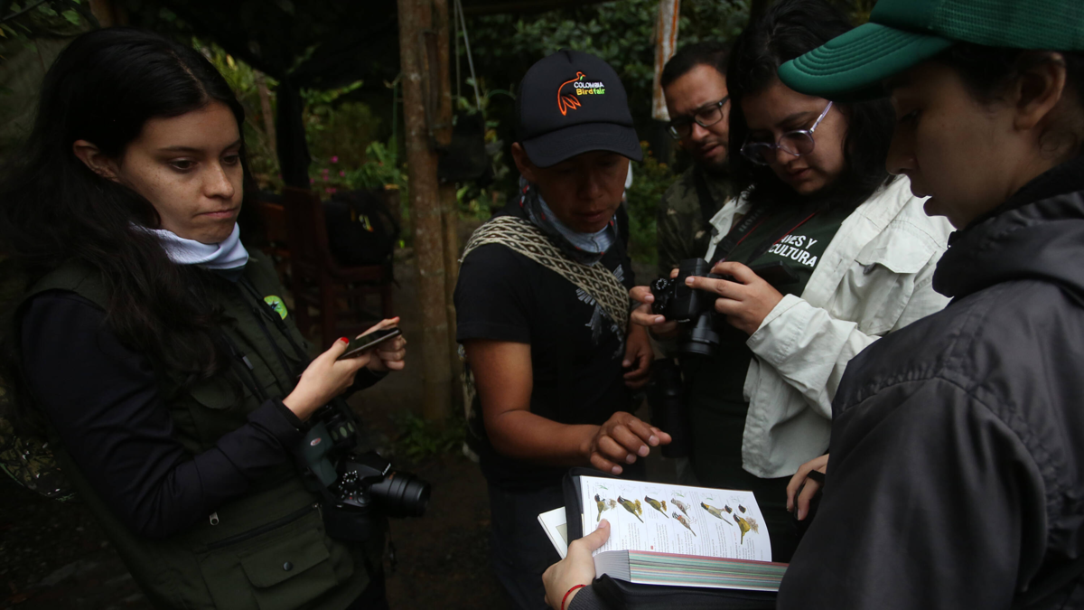 ¿Te apasiona la observación de aves? Programe su visita a Cali para la Colombia Birdfair, una iniciativa de conservación enfocada en niños y jóvenes

 – Tinta clara