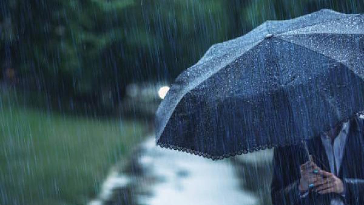 Reportan 11 cierres de vías y 21 pasos restringidos tras inundaciones en gran parte del país

 – Tinta clara