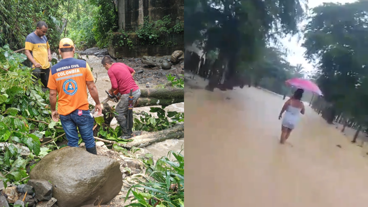 Madre y dos niñas muertas en Tuluá, miles de damnificados y cierre de Urrá I por inundaciones

 – Tinta clara