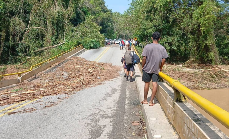 Las lluvias causan pérdidas por más de 130 millones de pesos diarios a bananeros

 – Tinta clara