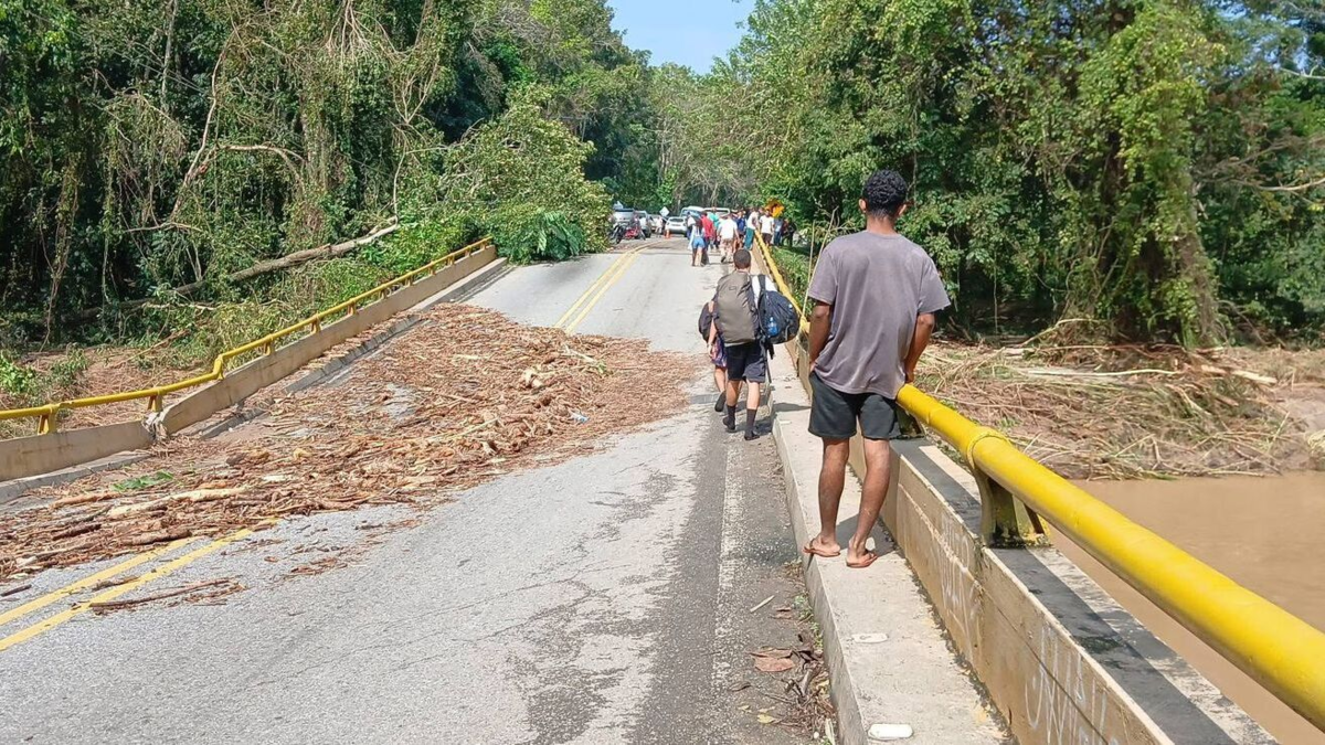 Las lluvias causan pérdidas por más de 130 millones de pesos diarios a bananeros

 – Tinta clara