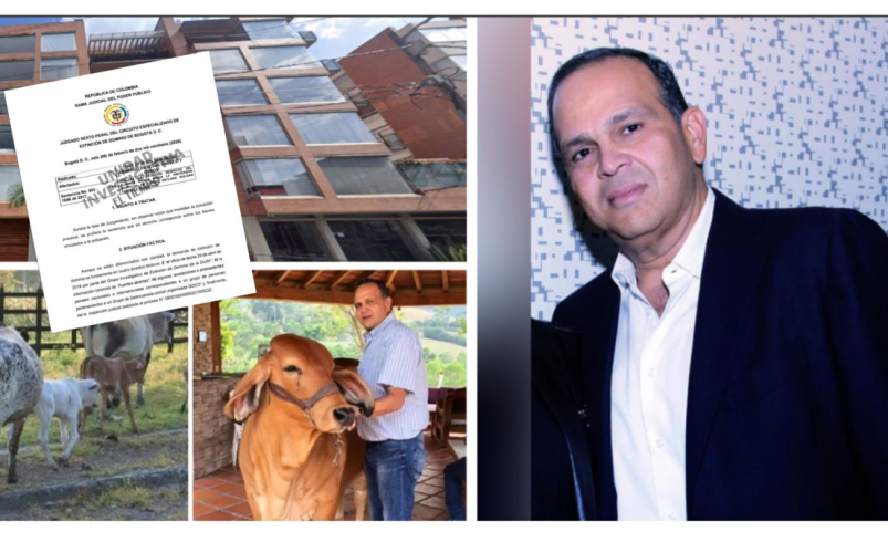 Apelaciones frenan devolución de bienes por $480.000 millones ordenada por un juez a sus herederos

 – Tinta clara