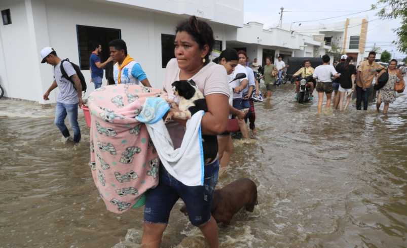 Ayuda humanitaria urgente, clama a las 69.000 familias afectadas por el frente frío

 – Tinta clara