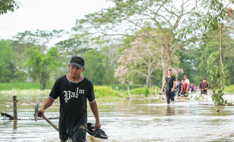 Las personas afectadas son más de 364 mil

 – Tinta clara