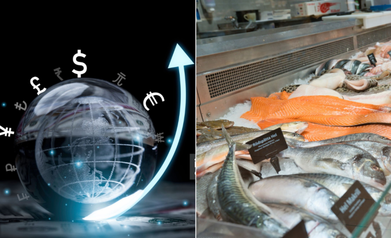 La FAO alerta sobre fraude por cambios de especies, orígenes ocultos y colores

 – Tinta clara