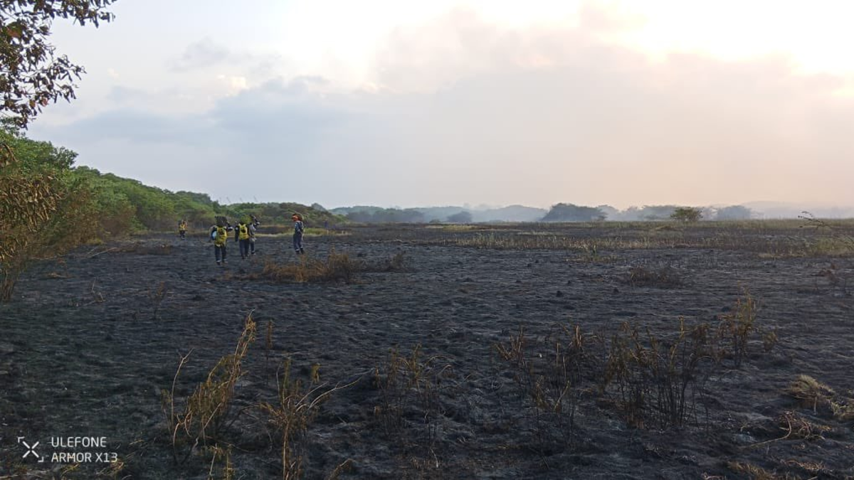 Se reaviva la preocupación por el medio ambiente.

 – Tinta clara