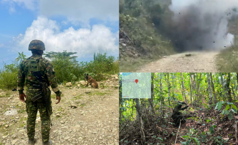 Aumentan homicidios y economías ilegales en el norte

 – Tinta clara