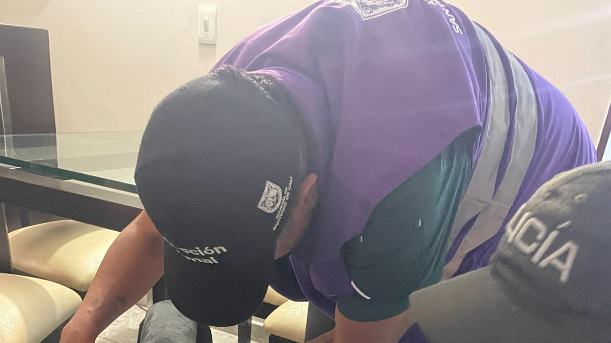 Policía verifica denuncia sobre perro arrastrado de la correa desde un auto en marcha en Cali: ¿qué medidas tomaron contra el dueño?

 – Tinta clara