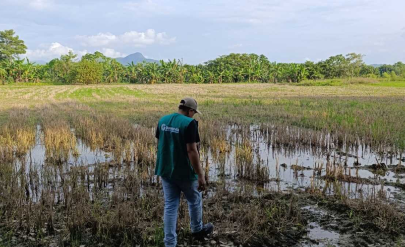 ‘Llevamos 4 años inundados’, Lucy García, Gobernadora de Sucre

 – Tinta clara
