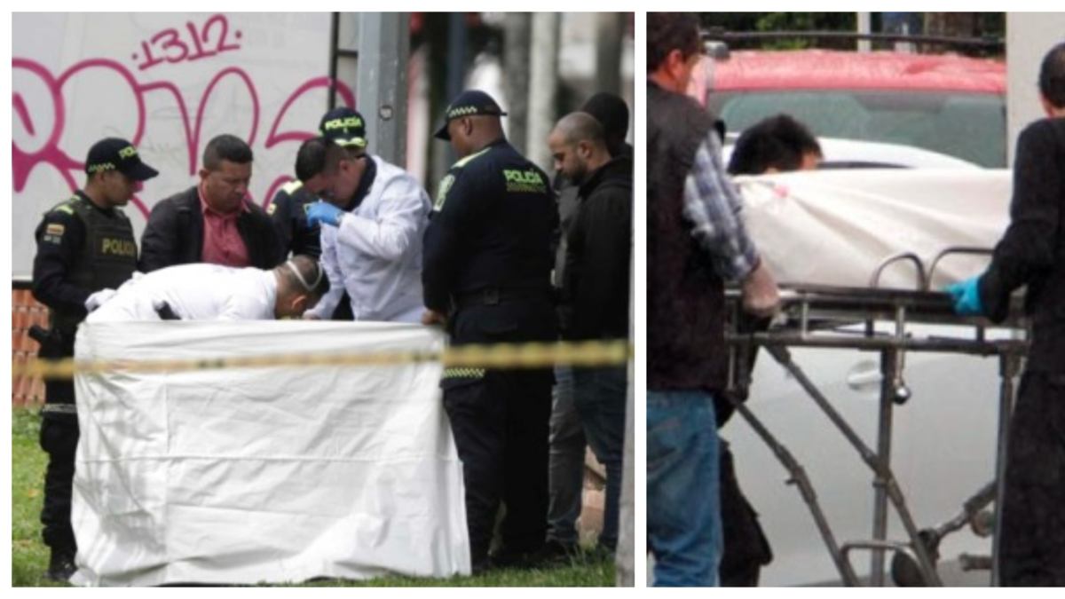 ¿Quién estaría detrás de las cabezas humanas abandonadas en lugares públicos y los cuerpos desmembrados en el Valle del Cauca?

 – Tinta clara