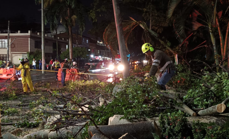 Árboles caídos, calles inundadas y semáforos dañados: así vivió Cali la tarde

 – Tinta clara
