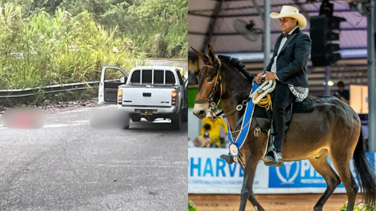 El sangriento ajuste de cuentas entre bandas del Suroeste antioqueño que le costó la vida al mejor arriero de Colombia por culpa de su hermano

 – Tinta clara