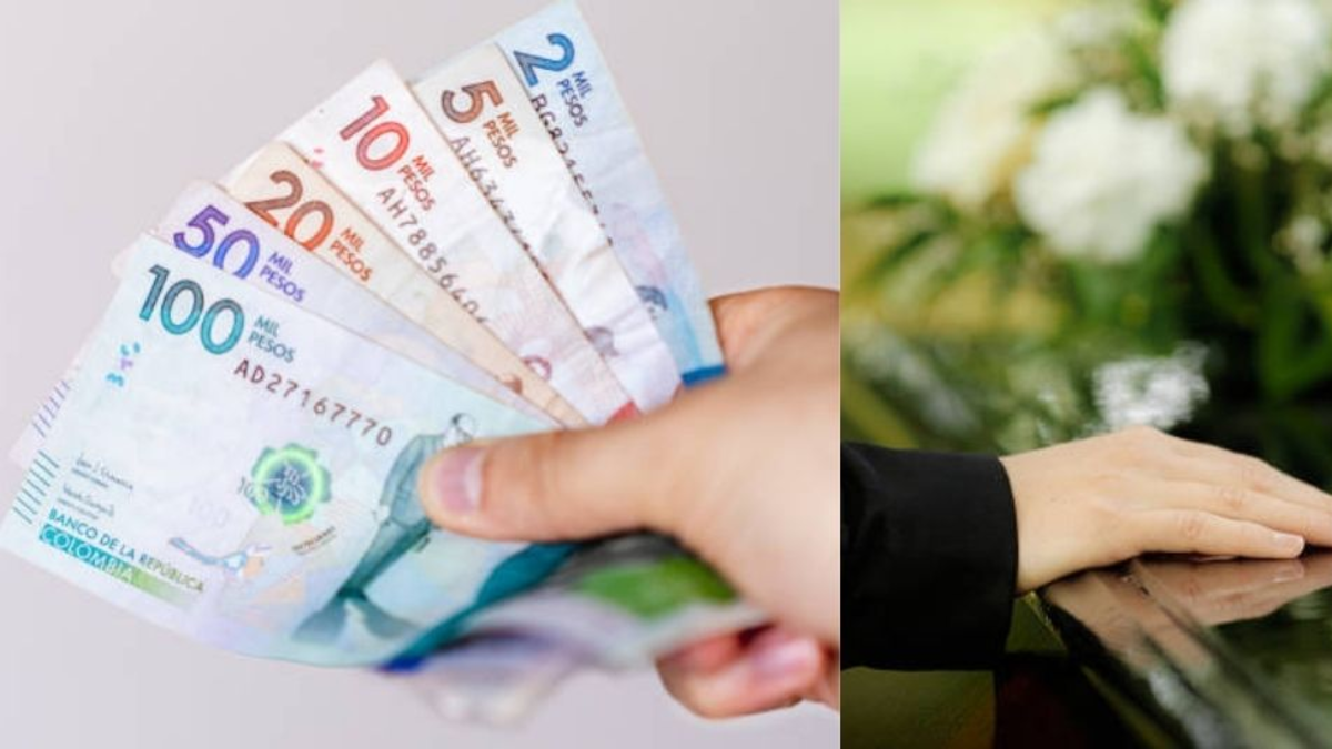 una guía completa sobre requisitos, montos aprobados y el plazo máximo para reclamar el beneficio

 – Tinta clara