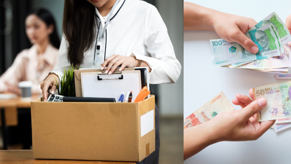 ¿Qué pasa si renuncias a tu trabajo y te sancionan? Eso es lo que dice la ley.

 – Tinta clara