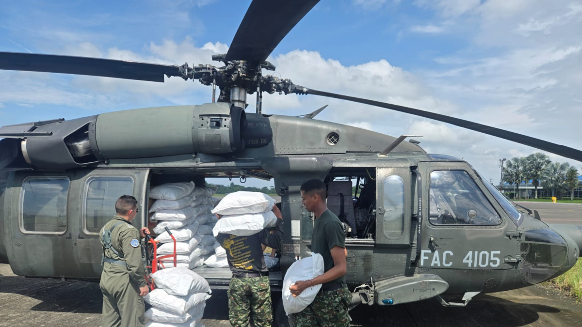 Agencias de socorro intensifican acciones de recuperación tras fuertes lluvias

 – Tinta clara