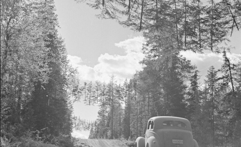 Para Finlandia proteger sus carreteras en la Segunda Guerra Mundial era fundamental, por eso se inventaron los árboles voladores

 – Tinta clara