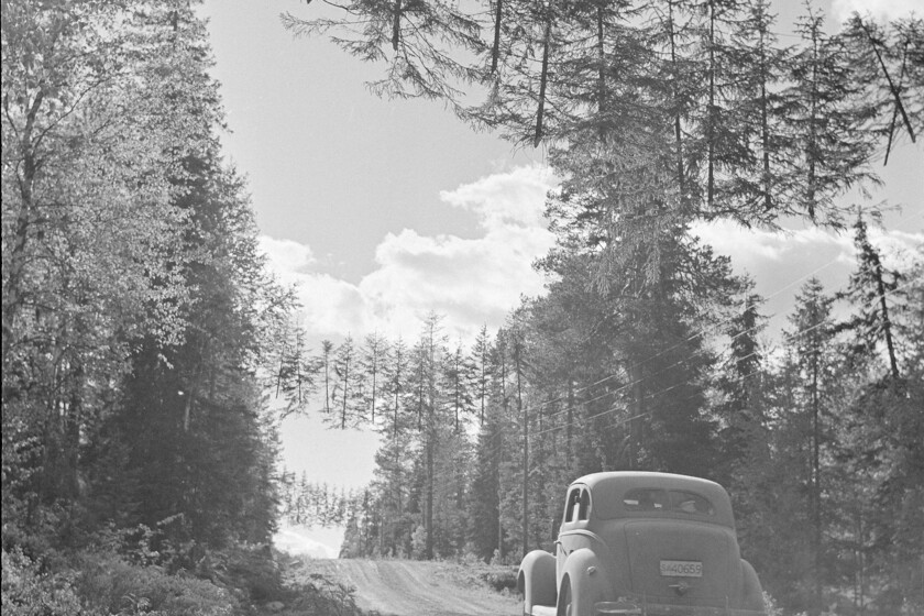 Para Finlandia proteger sus carreteras en la Segunda Guerra Mundial era fundamental, por eso se inventaron los árboles voladores

 – Tinta clara