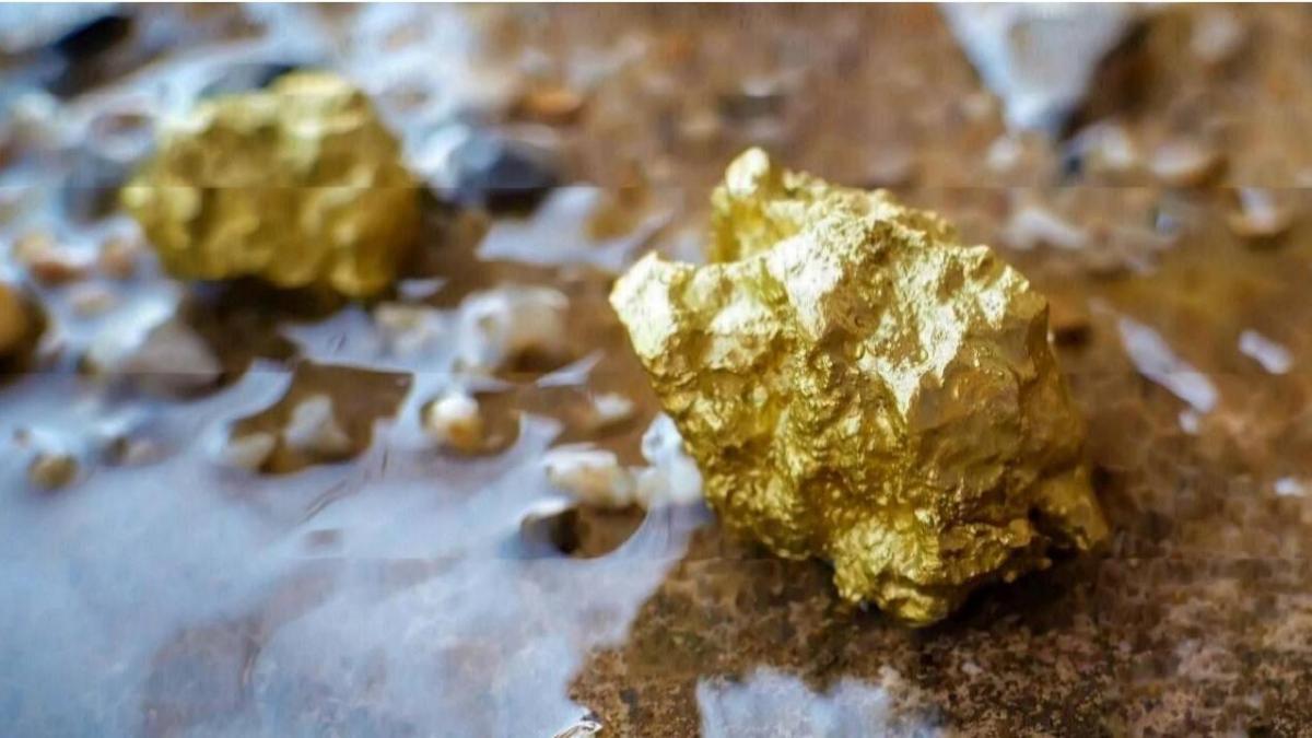 espera alcanzar las 350.000 onzas en 2026

 – Tinta clara