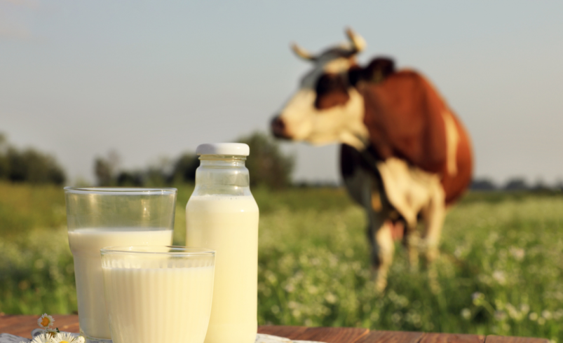 Trabajos a los que se dedicará Gloria en Colombia, tras la salida de Algarra

 – Tinta clara