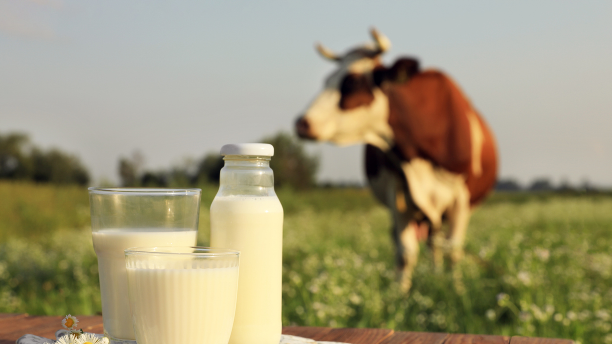 Trabajos a los que se dedicará Gloria en Colombia, tras la salida de Algarra

 – Tinta clara