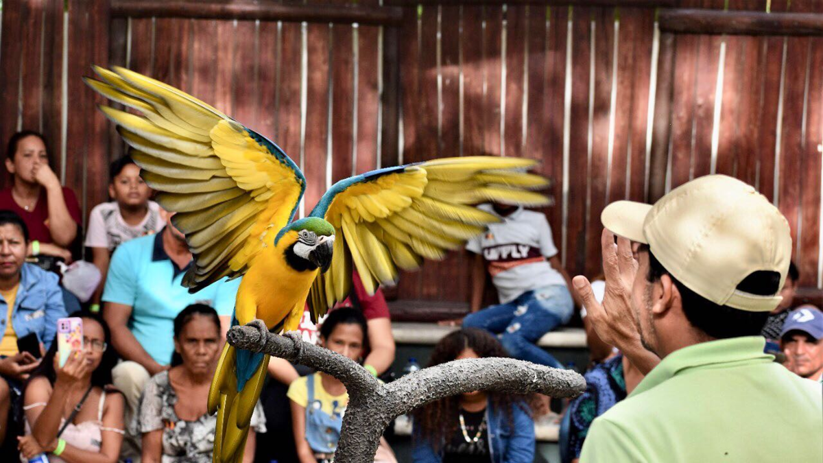 Zoológico de Barranquilla se consolida como referente del turismo de naturaleza con conservación, educación y más de 700 animales

 – Tinta clara