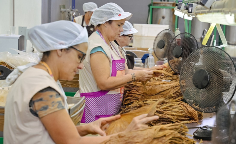 Resumen del ‘V Informe Anual Consolidado’

 – Tinta clara