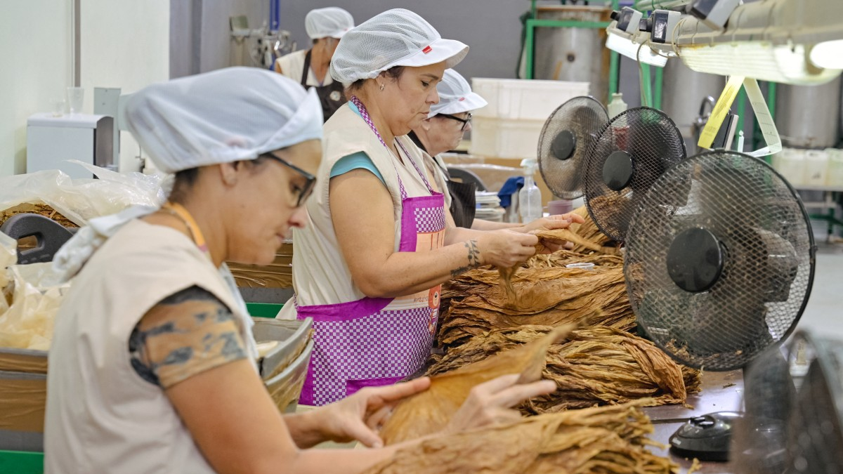 Resumen del ‘V Informe Anual Consolidado’

 – Tinta clara