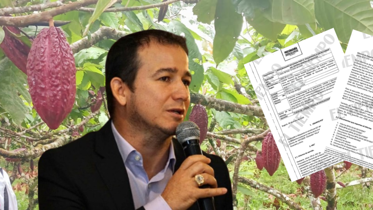 más del 64% de los agricultores lo abandonaron

 – Tinta clara