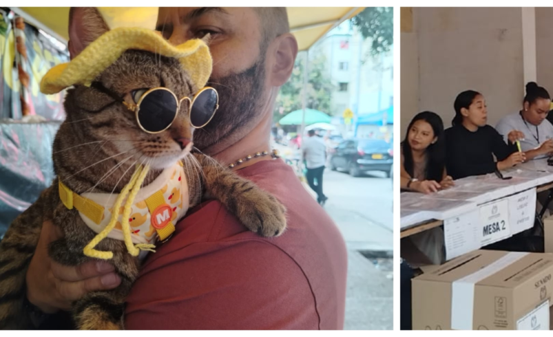 del ‘agosto’ de taxistas y vendedores ambulantes, a las ‘pasarelas’ de mascotas

 – Tinta clara