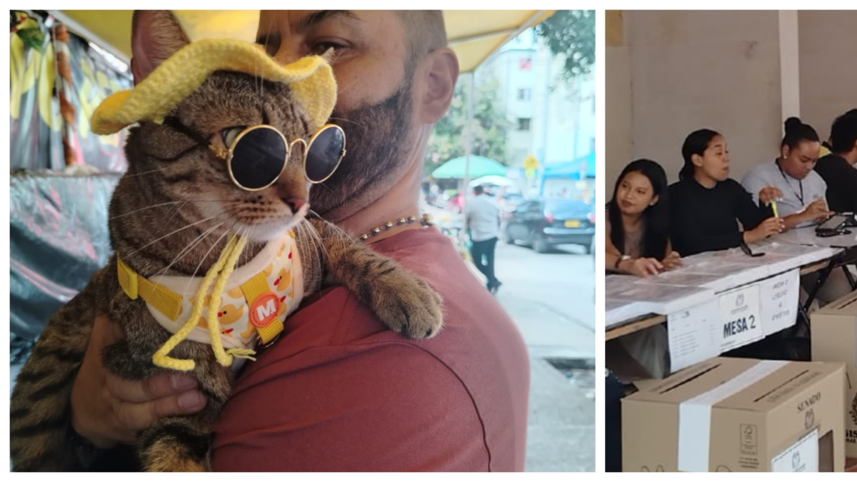 del ‘agosto’ de taxistas y vendedores ambulantes, a las ‘pasarelas’ de mascotas

 – Tinta clara