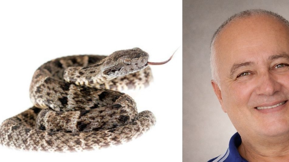 Muere hermano del cantante Horacio Grisales tras ataque de serpiente en zona rural de Antioquia

 – Tinta clara