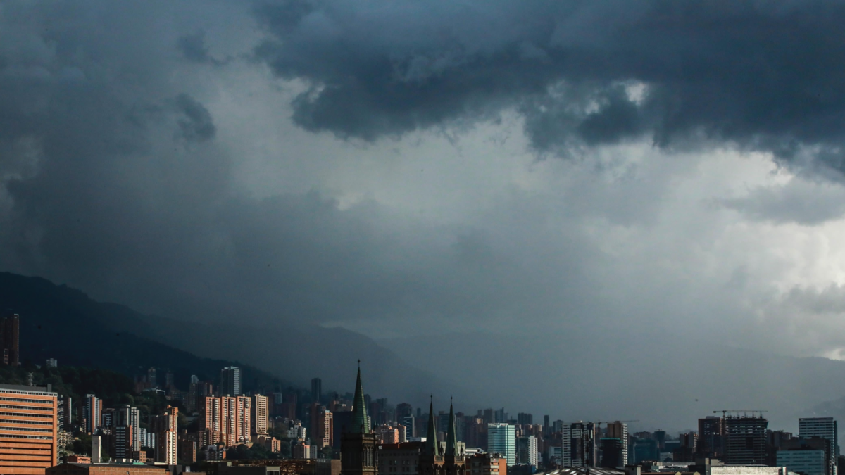 protocolos y planes de emergencia

 – Tinta clara