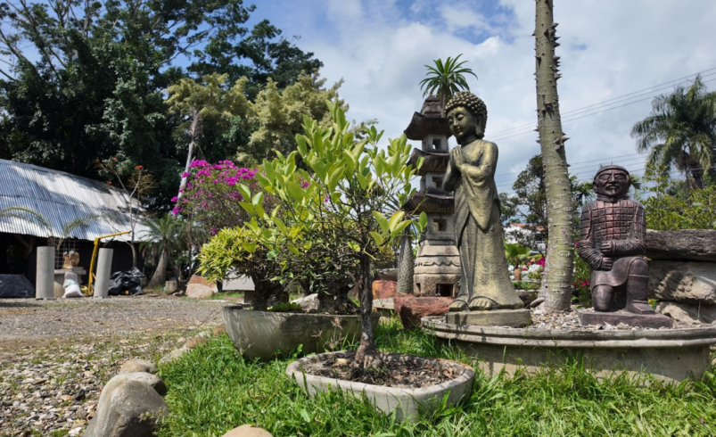 ¿Quién era el dueño que vivía a todo lujo en el barrio sur de Cali?

 – Tinta clara