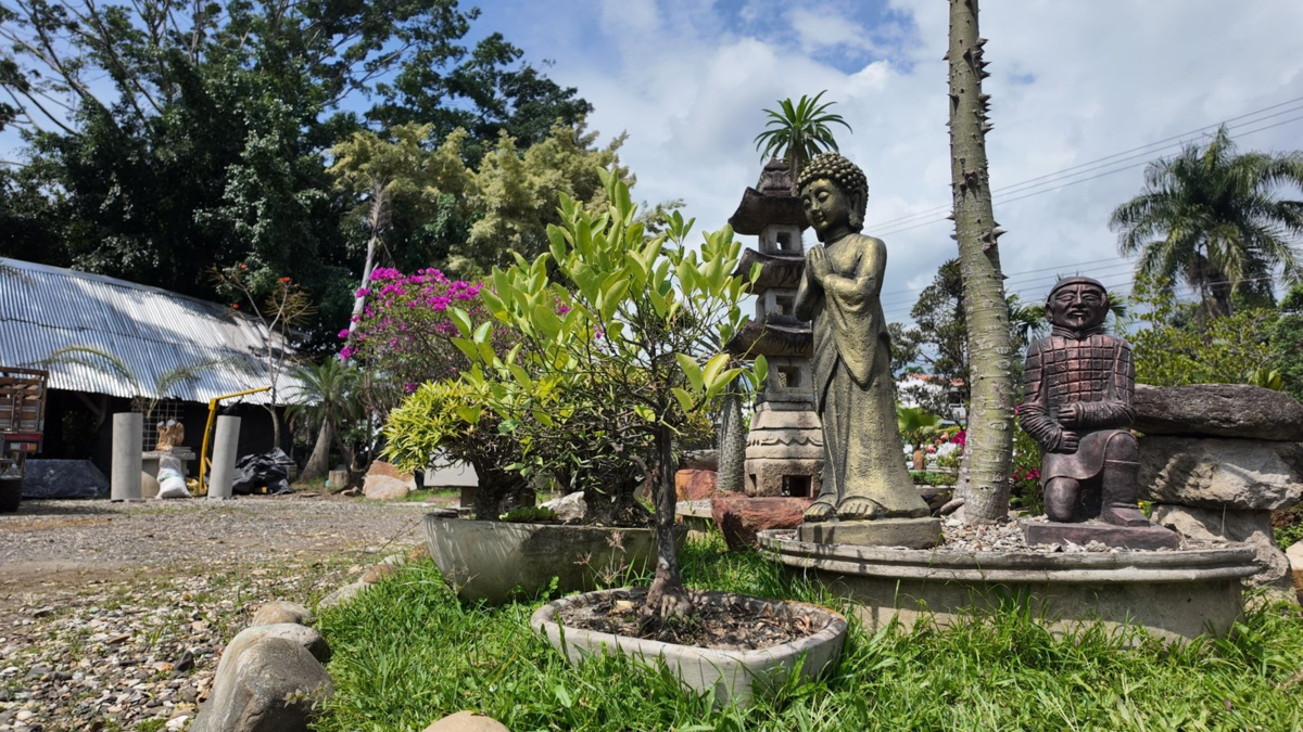 ¿Quién era el dueño que vivía a todo lujo en el barrio sur de Cali?

 – Tinta clara